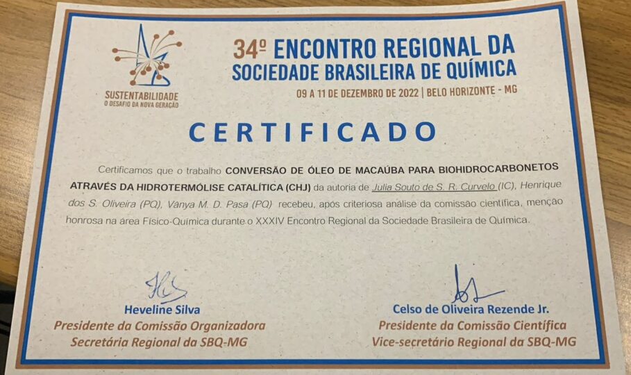 Menção honrosa _ Julia_ERSBQ-22